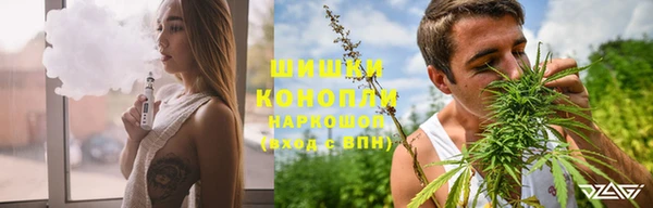винт Алзамай