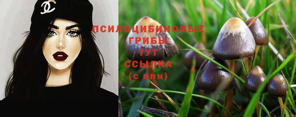 кокаин премиум Алексеевка