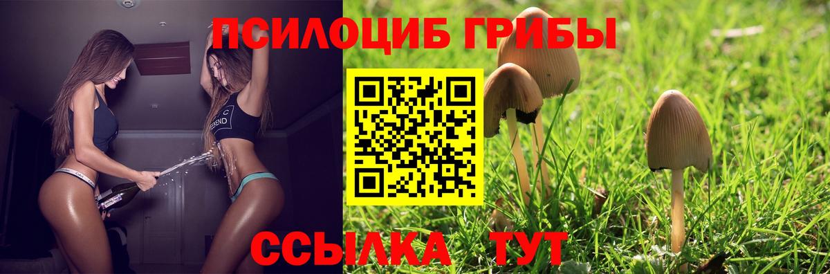 Псилоцибиновые грибы прущие грибы  Вход с VPN  Моздок 