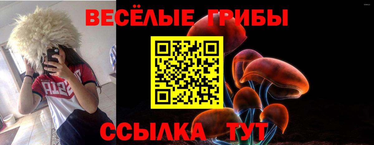 Псилоцибиновые грибы мухоморы Моздок